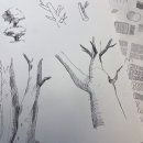 펜으로 그려보는 기초 어반드로잉 이미지