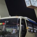 용운동 194-3 앞 횡단보도 | [경상북도 포항시] 25년 5월 / 첫날(일출 / 대화식당 / 구룡포해수욕장 / 여든여덟밤 / 대천식당 / 문화...