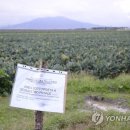 마수와식품 이미지