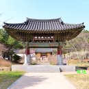 무위사 주차장 | 봄에 가볼만한 강진여행지 매화가 아름다운 절 무위사 봄 풍경