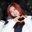 포토세상