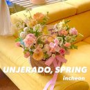 롯데마트 계양점 앞(계산주공아파트 방면) | 계양구플라워꽃집 / 언제라도, 봄 / 가격주차예약