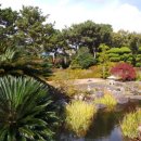 여미지식물원 이미지