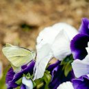 과일나라테마공원1 이미지