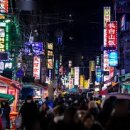 도림목장 네이버블로그