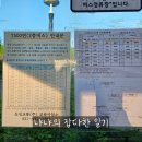 씨유 파주월롱로드점 | 파주 필무드에 택시 타고 간 용감한 자의 후기