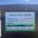 길목민속매점 | 강릉솔향수목원 5월 아이와가볼만한곳 소나무숲길