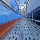 방어진순환도로L 이미지