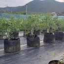 현곡농장2 이미지