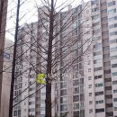 더우개로 이미지