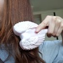 신데렐라미용실 이미지