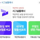 이팀광고 | [보험리모델링]팀보틀, 시그널플래너 후기(광고No)