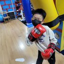 은성mma | 날씨가 선선해진가을!보라동과 상갈동의 복싱체육관을 소개합니다^^