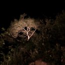 금동산야 이미지