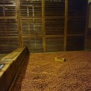 강남대로107길 24 이미지