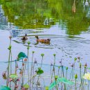 중앙공원 이미지