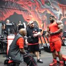 원파인짐 이미지