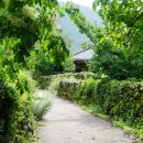 남산1리 이미지