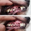 서대구동물병원 이미지