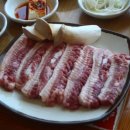 돼지짱 이미지