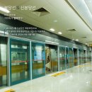 분당수서로 이미지