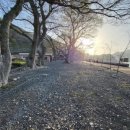 천하마을야영장 이미지