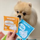 저단10 | [공지] 강아지 신장 화식 11살 노견 도거박스 저단저지 샘플팩 급여 솔직 후기!