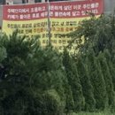 빈센트반커피 네이버블로그