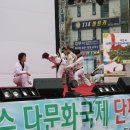 상록수태권도 이미지