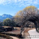 수락산 만남의광장 이미지