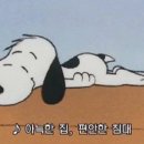 웰씨커피로스터리카페