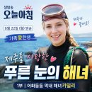 제주문화방송 주식회사 | 생방송 오늘아침 6월 22일 방송정보 제주 해녀 카일리