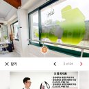 경희대강한태권도장 이미지