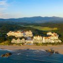 양양애서 이미지