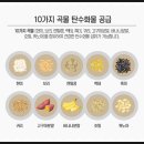 요거스토리 이미지