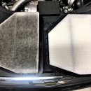 유로게러지 이미지