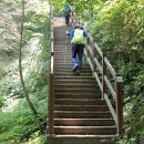 대전둘레산길(1구간) 이미지