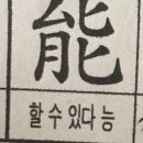 새롬씨티 | [#39.취미발레] 더시티발레 홍대점 lev4 클래스 순서 및 난이도 (발레원정 후기)