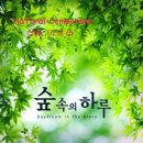 숲속의 하루 이미지