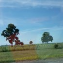 (주)대륙주유소 이미지