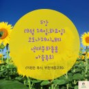 코로나19시대의 생태문화돌봄 마을목회-부천 새롬교회 이원돈 목사 강의 (부산장신대 세계선교연구소) 이미지