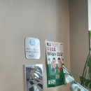 요가 | 부산요가 추천 요가노마드 후기 서면요가 빈야사 하타 직접 배워본 후기