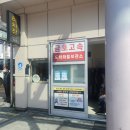 터미널 | 창억떡 당일제조 호박인절미 터미널 배송 후기