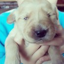 남제주 민박 이미지