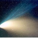 혜성바이오 이미지