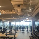 초이스바이반트 이미지