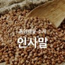 동양제분