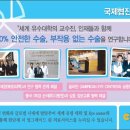 귀가편안한세상 이미지