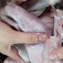 청파약국 | 홍어 대청도 홍어한마리 집에서 손질했어요