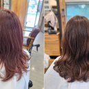 최가을헤어드레서 이미지